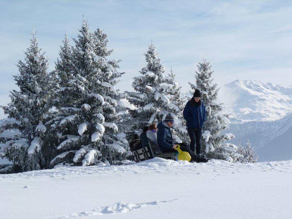 Chalet Des Alpes Bed & Breakfast Crans-Montana Exterior photo