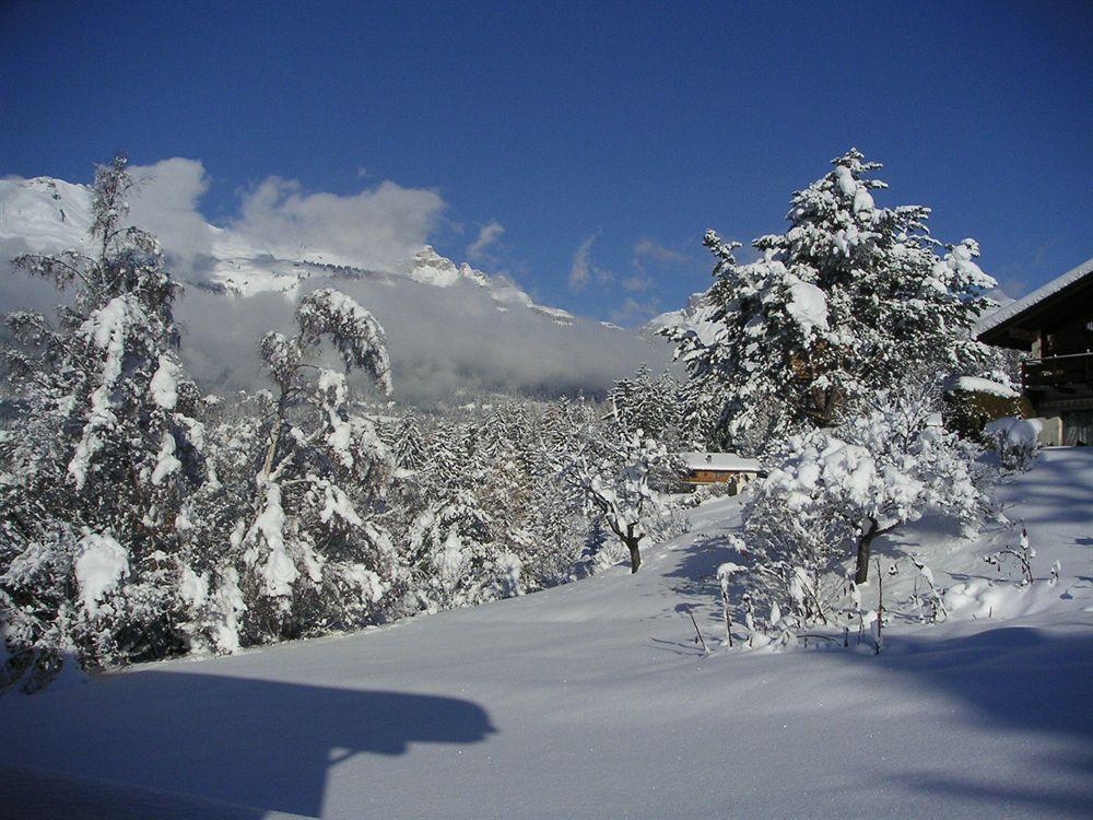 Chalet Des Alpes Bed & Breakfast Crans-Montana Exterior photo