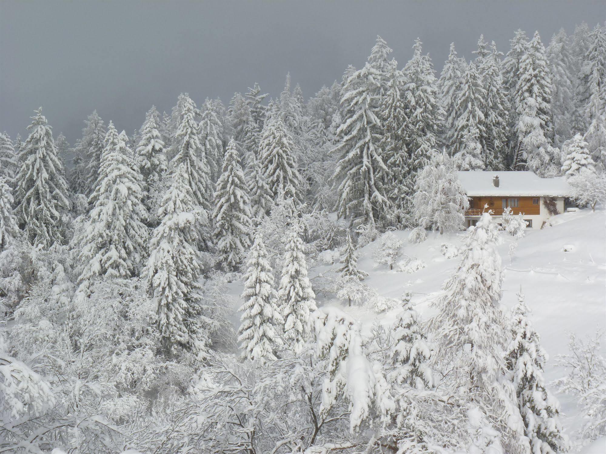 Chalet Des Alpes Bed & Breakfast Crans-Montana Exterior photo